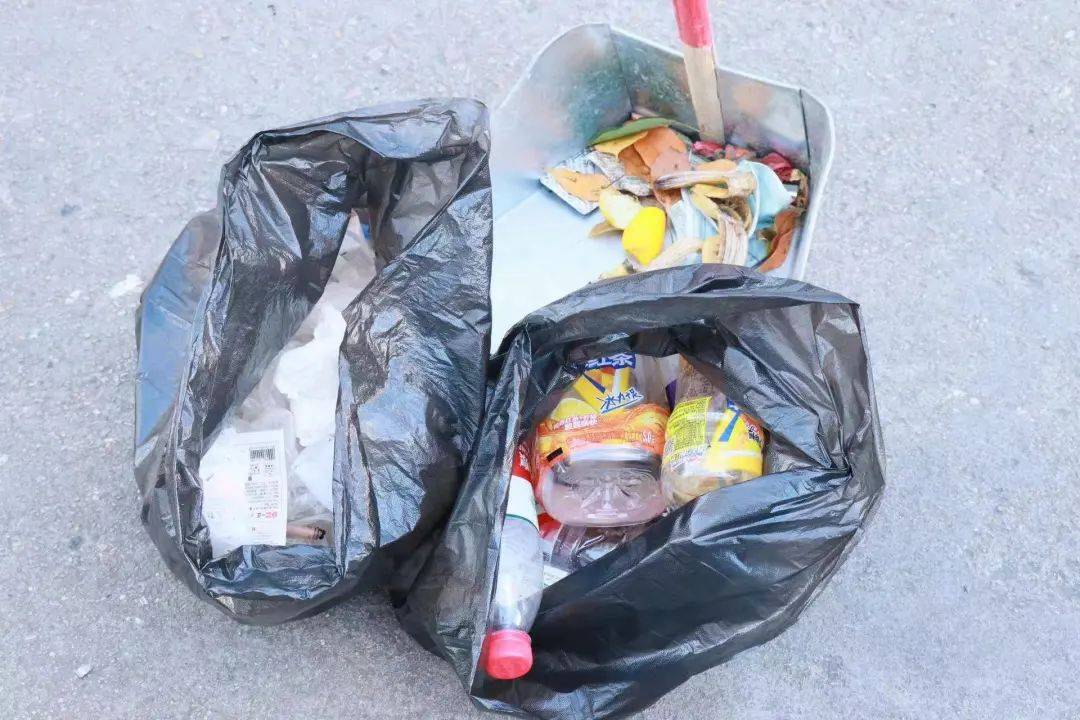 Evelyn Riley tweet media