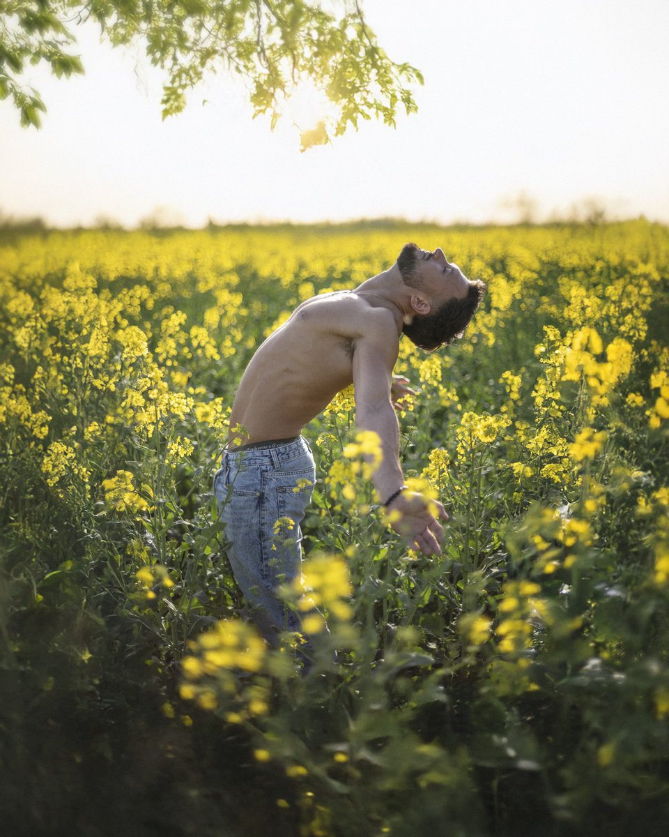 4K Graphie tweet media