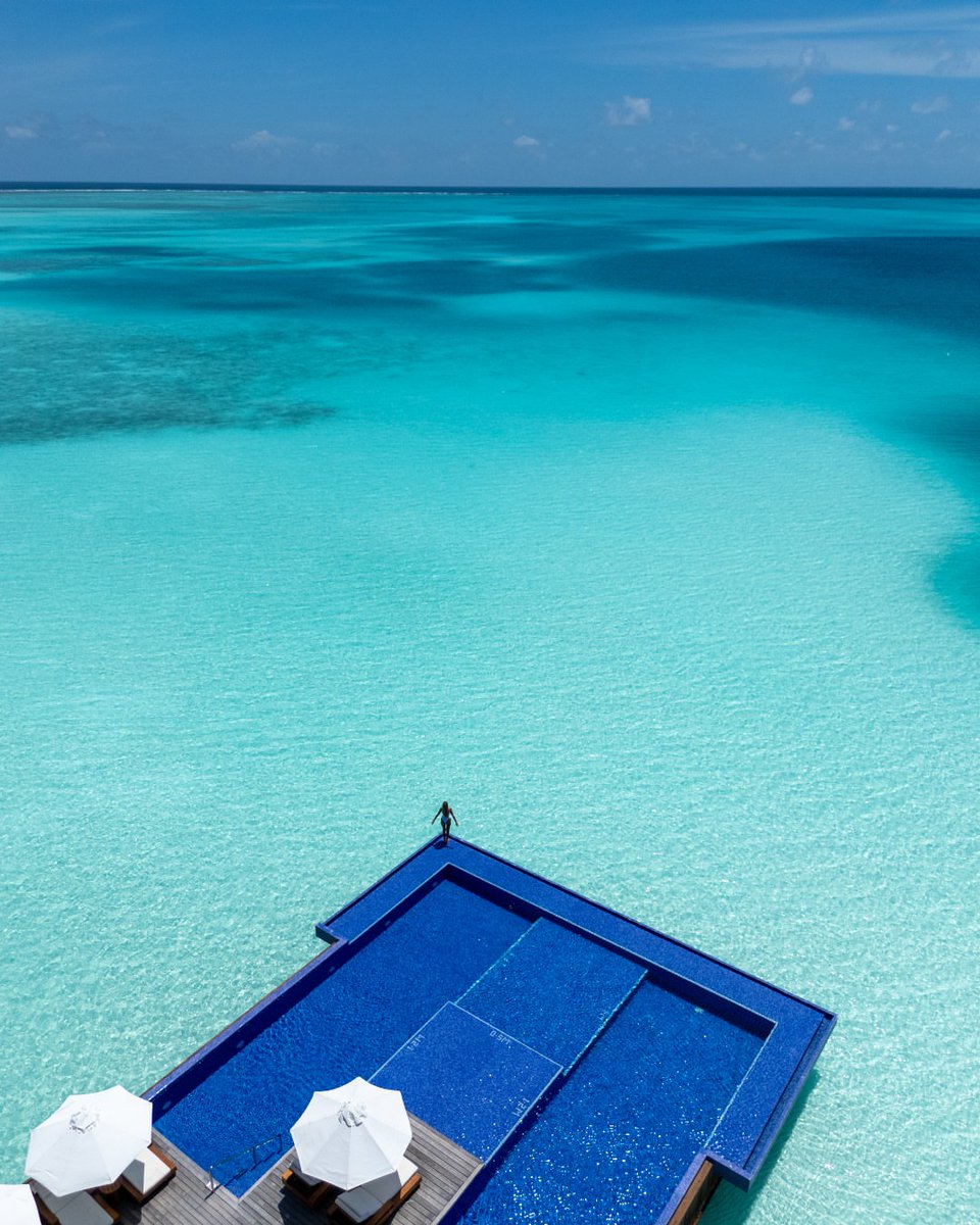 The Tourism Guide tweet media