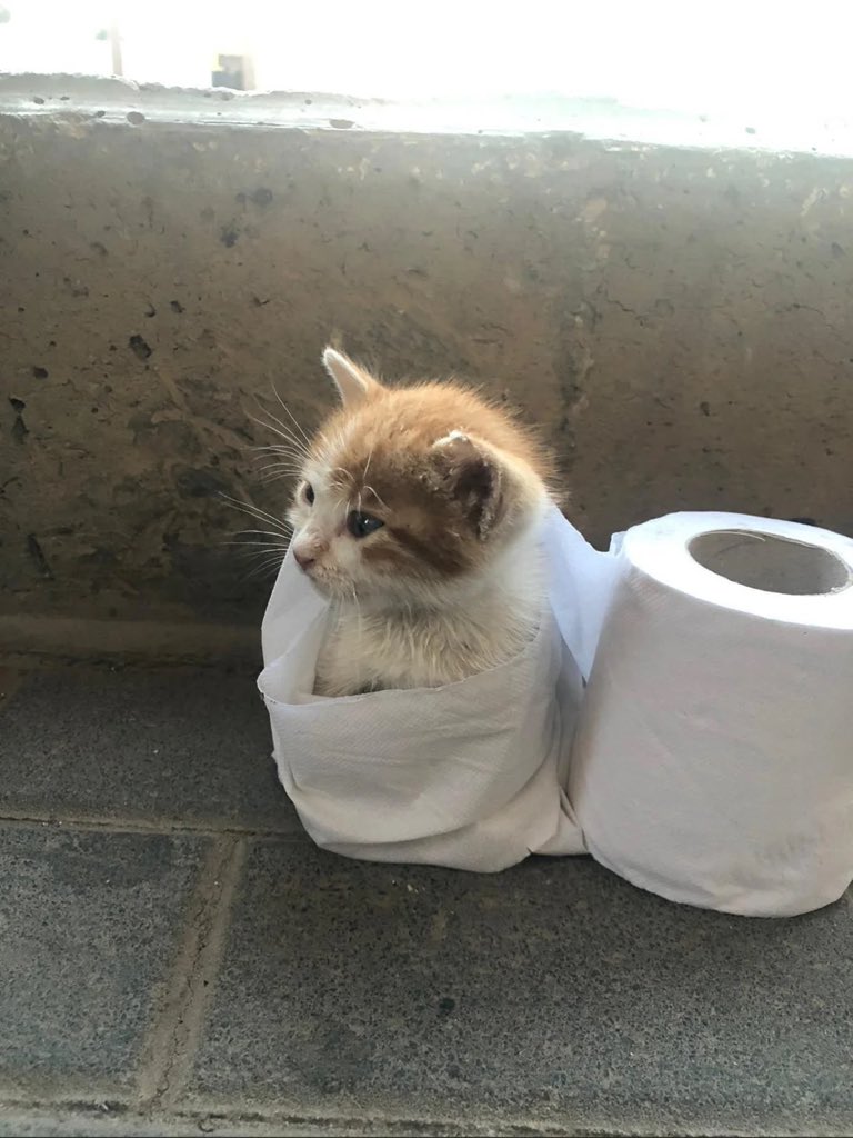 Antidepressant Content tweet media