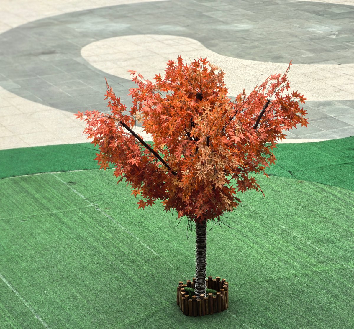 Słodka anonimka ♥ tweet media