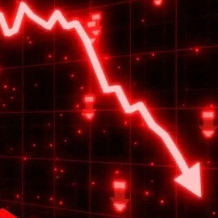 CryptoGoos tweet media