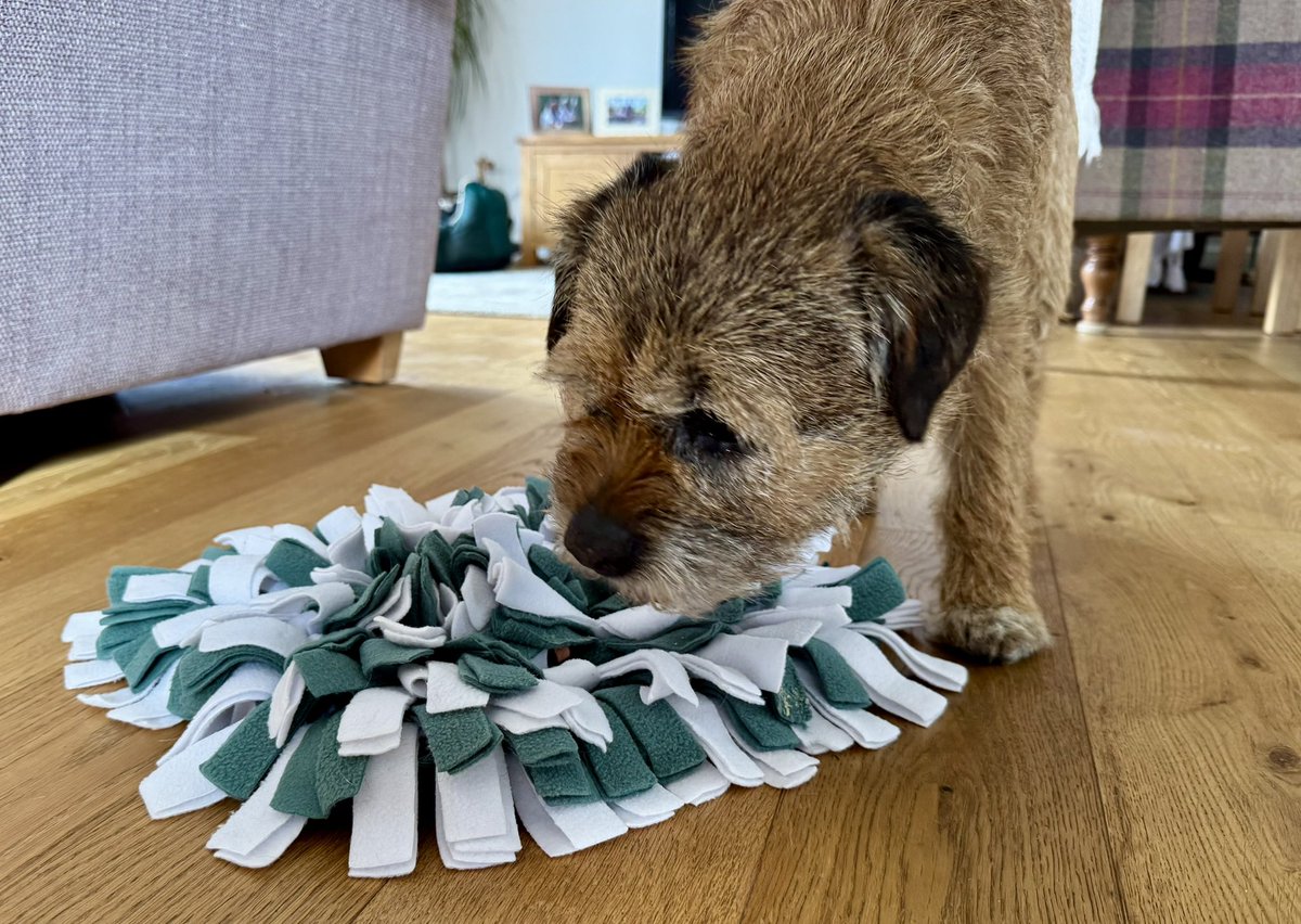 Lord Culter BT 🏴󠁧󠁢󠁳󠁣󠁴󠁿 Order of the IT tweet media