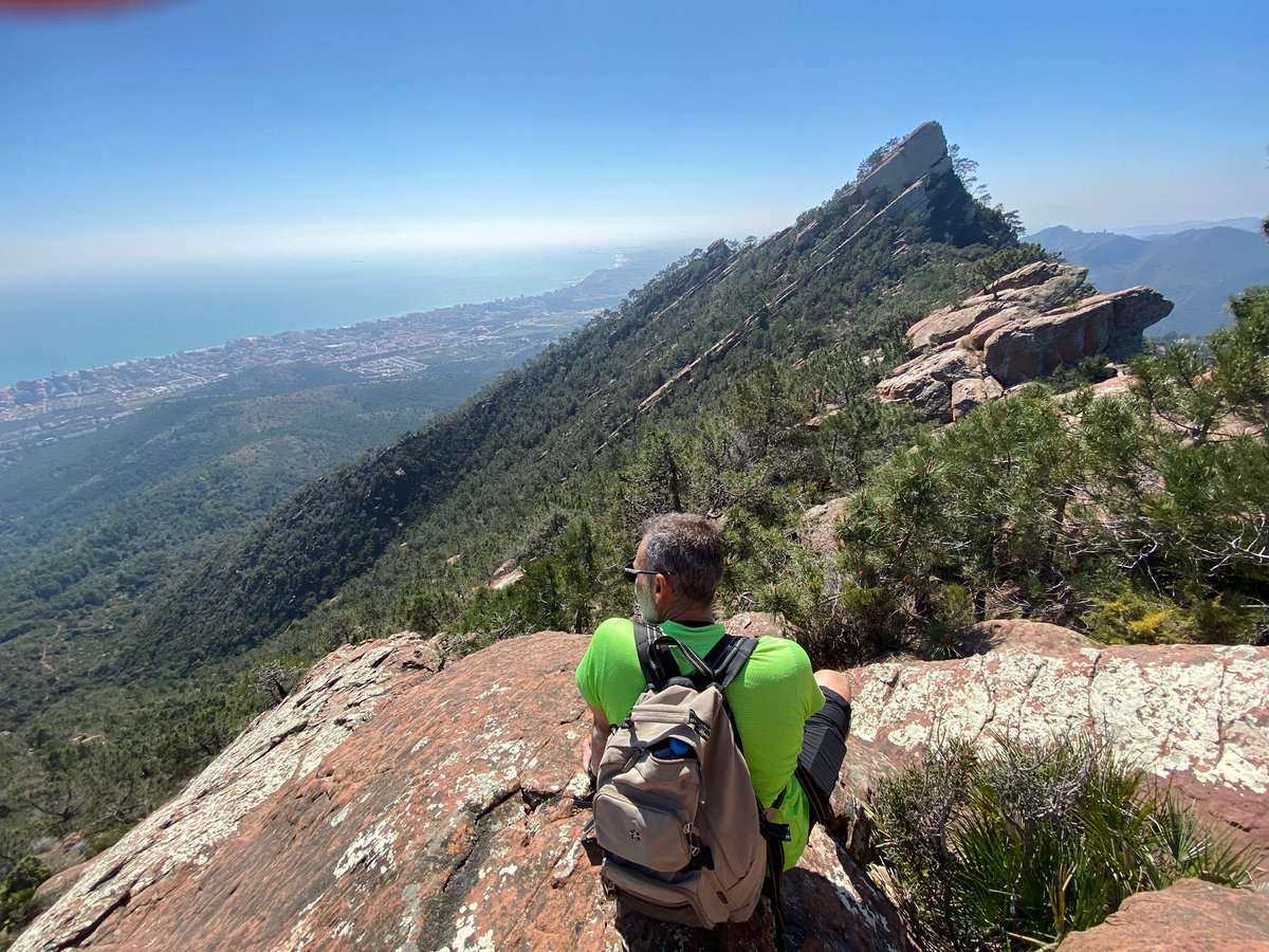 omuel28's tweet photo. Hoy: 4 km, casi 2 horas, +394 m de desnivel.

En el papel no impresiona. En las piernas y en la cabeza, sí.

Las agujas de Santa Águeda, Benicàssim. Brutal. https://t.co/zLC0UR55E5