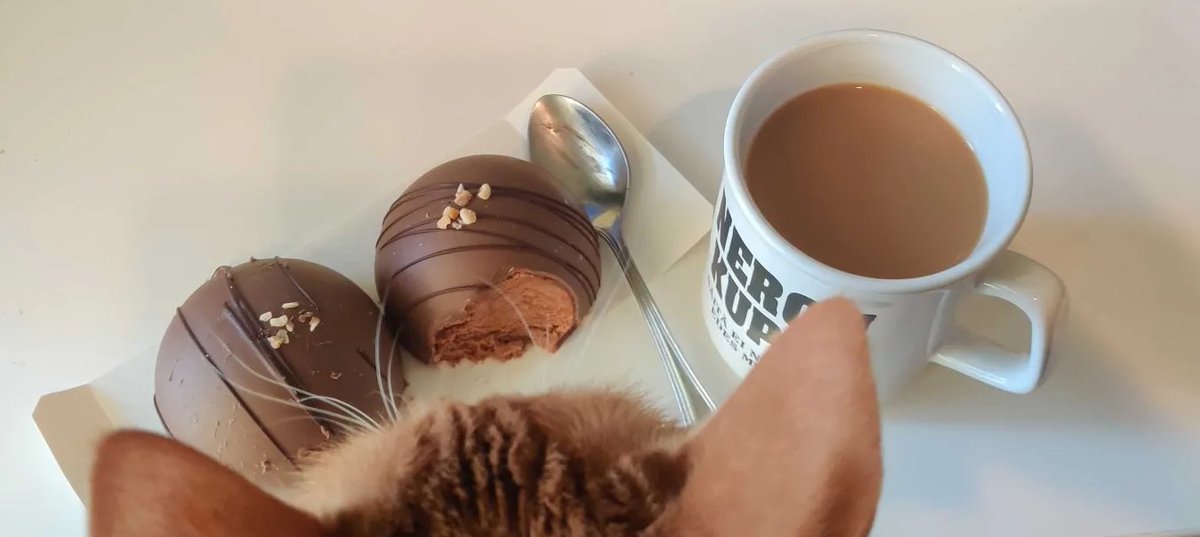 ZoKHiZz's tweet photo. cat immediately trying to steal the forbidden choco treats https://t.co/i6CTwsNo6t