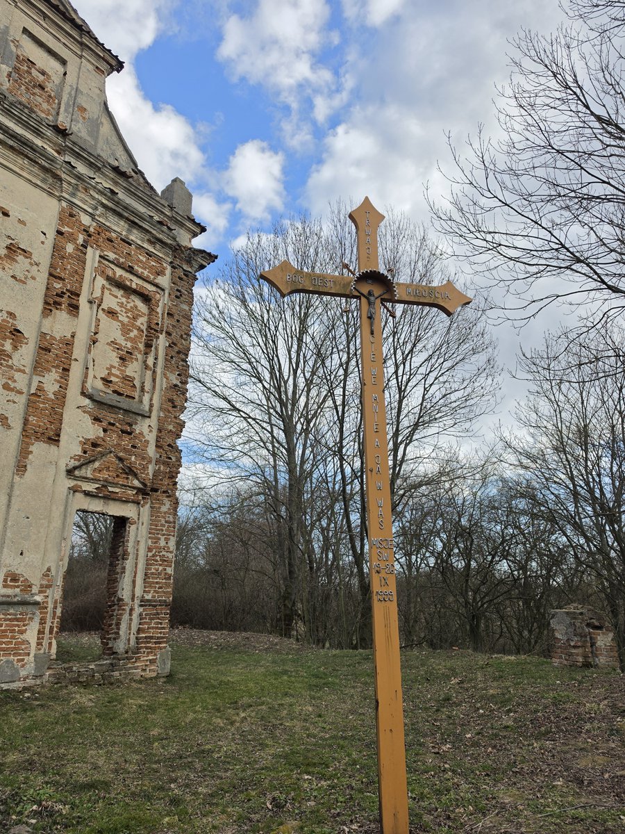 olyapka (Proud Ambassador of Barsik) tweet media