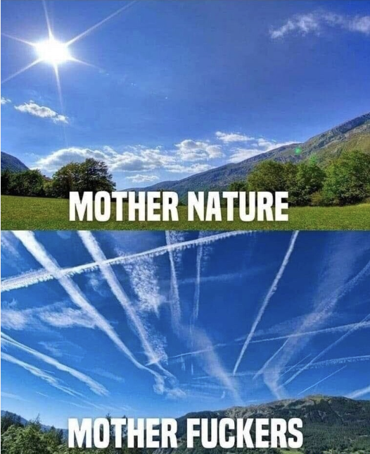 Carnivore Aurelius ©🥩 ☀️🦙 tweet media