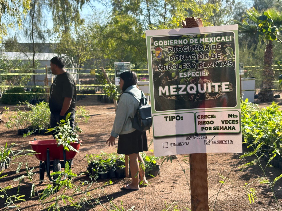 Norma Bustamante tweet media