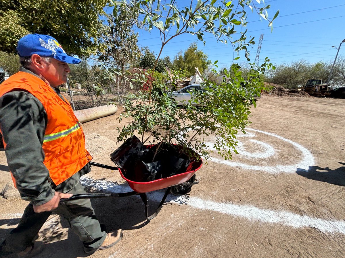 Norma Bustamante tweet media