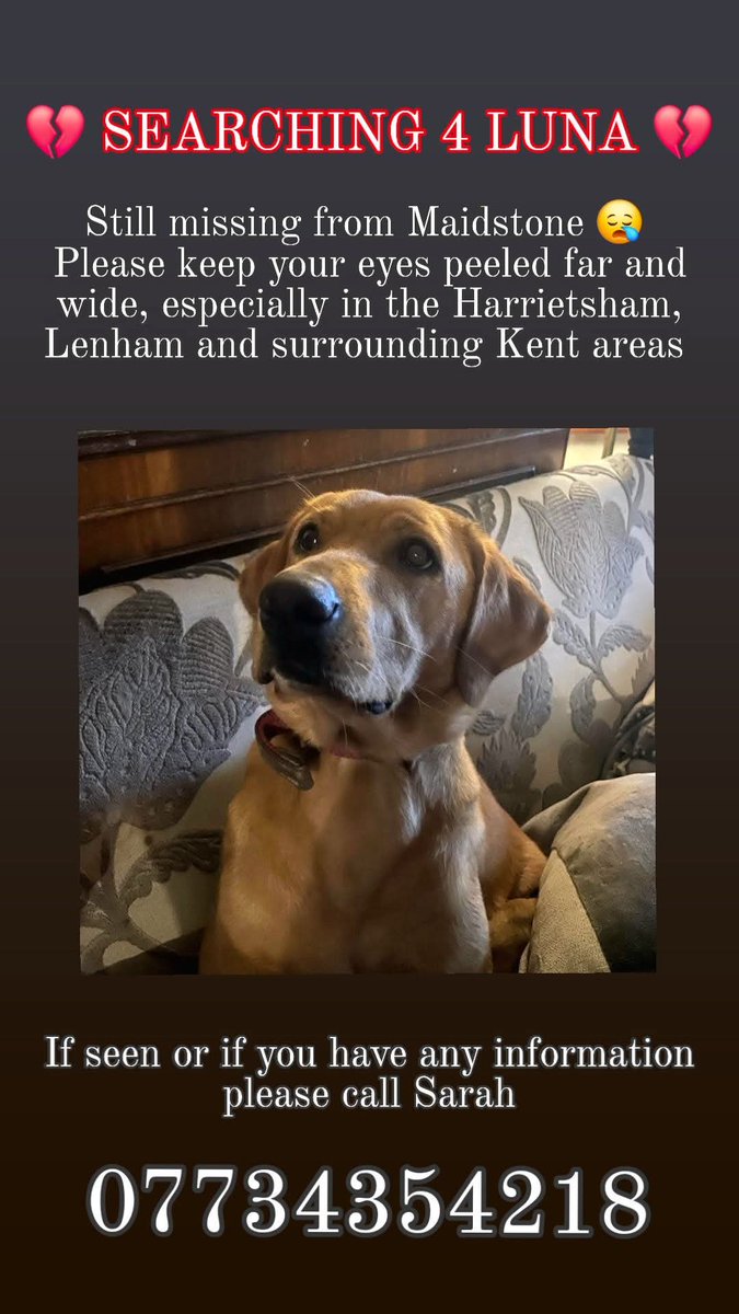 MissingPetsGB's tweet photo. #stolendoghour is on now 8-9pm
Please share to help find stolen pets like LUNA
๐ STILL MISSING ๐
Please share ๐
#findluna #looking4luna #missingdog #missingdogs #lostdog #lostdogs #missing #lost #maidstone #KENT #ME15
Last seen 1 November 2025 https://t.co/iQj6oLugbY