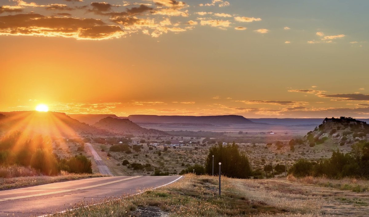 Pat Dotson tweet media