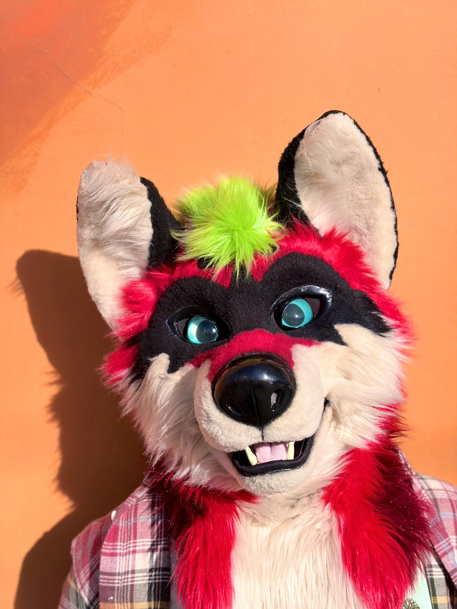 Ralfey 🔜 Japan 🔜 EF tweet media