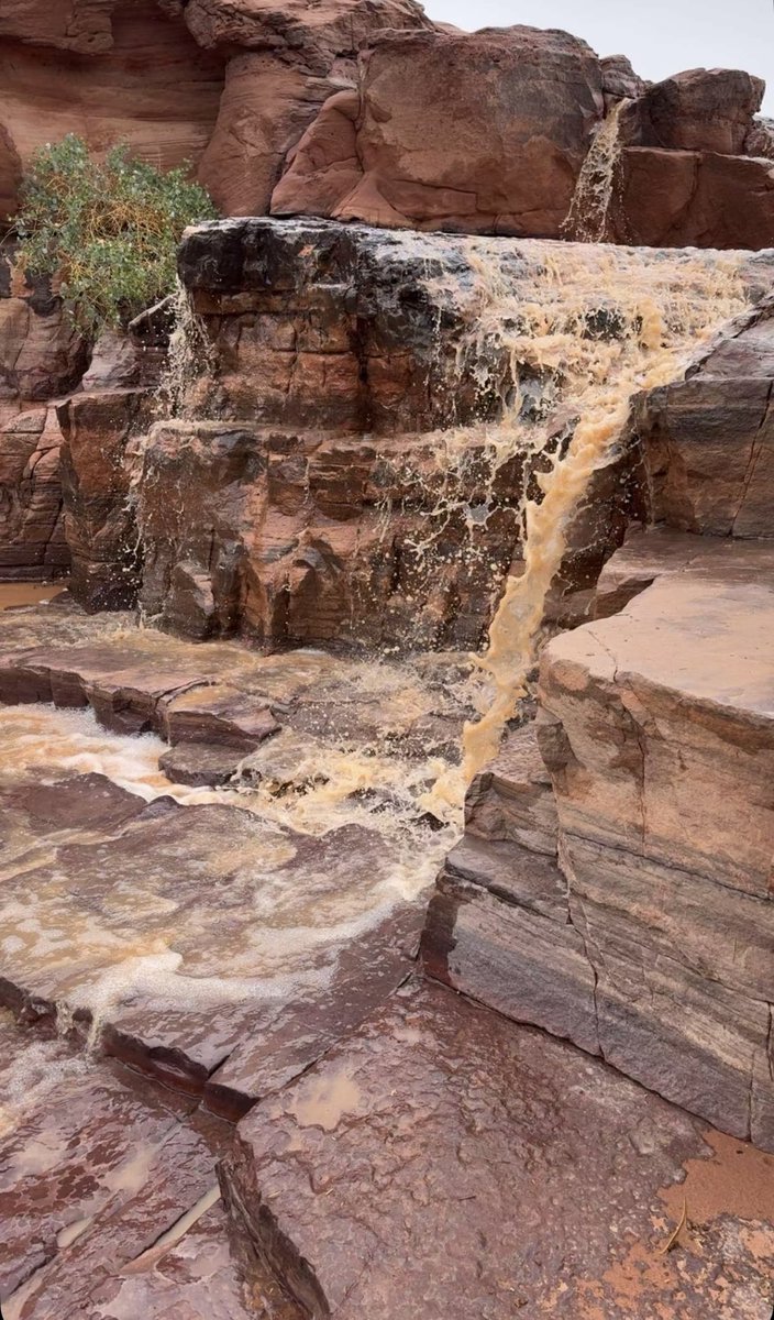 َََََ tweet media