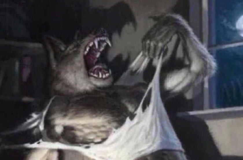 Niko Soul Nonsense tweet media