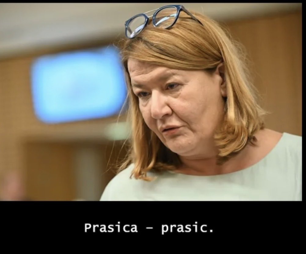 Wonomyrus tweet media