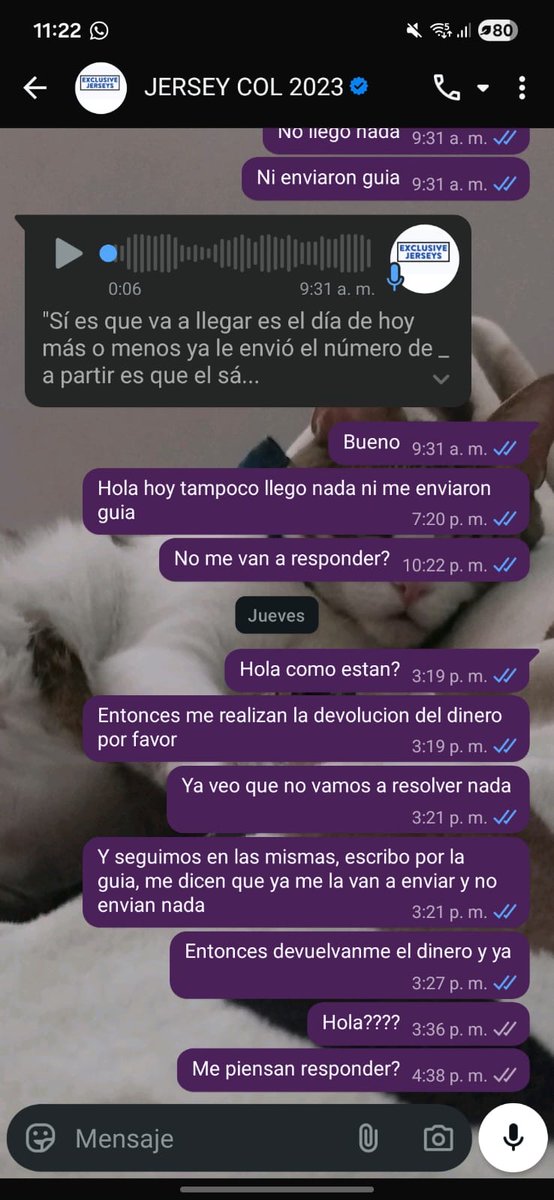 Rico 🥷🏻 tweet media