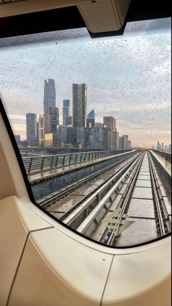  فالكون tweet media