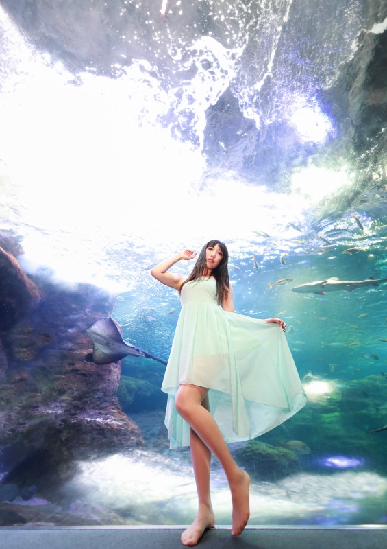 つばさ tweet media