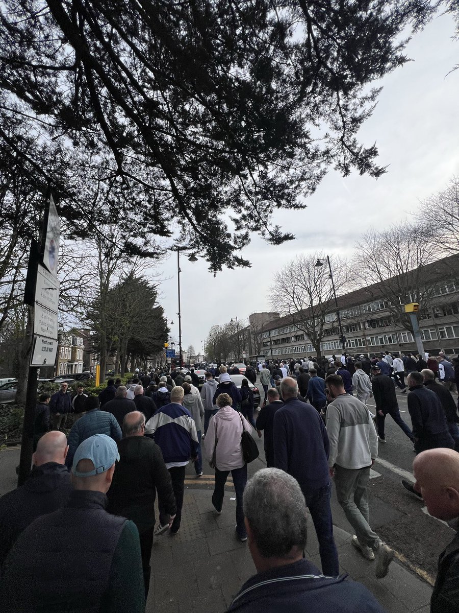 Return of the Shelf tweet media