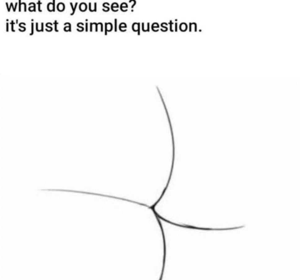 not cute & kinky memes tweet media