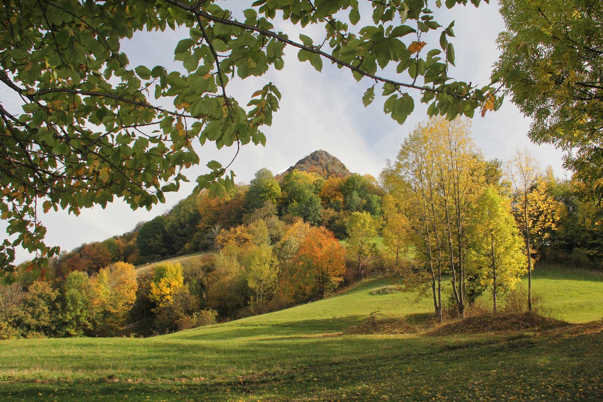 Ana Atanasković tweet media