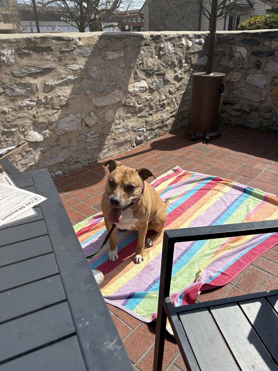 Derek 🦅 (Go Birds) tweet media