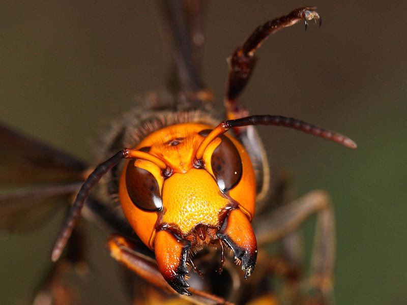 そまる（特撮垢） tweet media