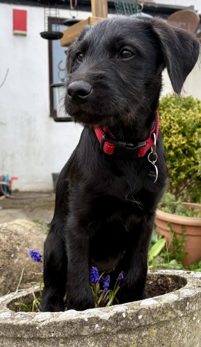 Miss Underscore tweet media