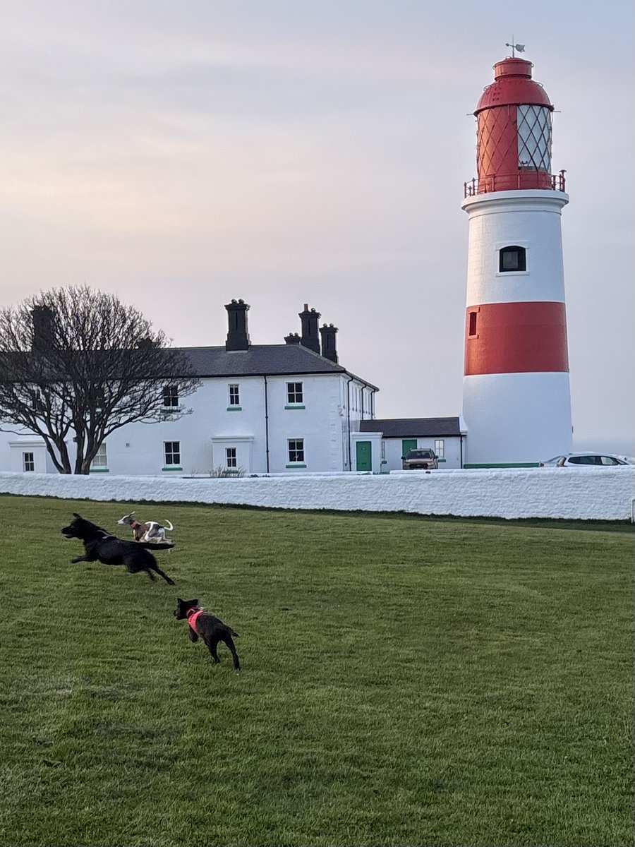 Miss Underscore tweet media