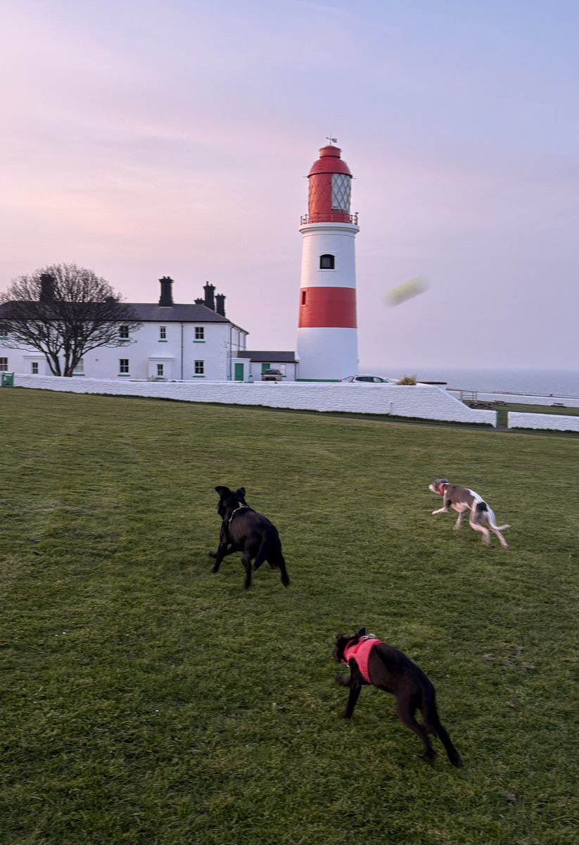 Miss Underscore tweet media