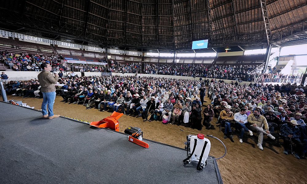 El Periódico MX tweet media