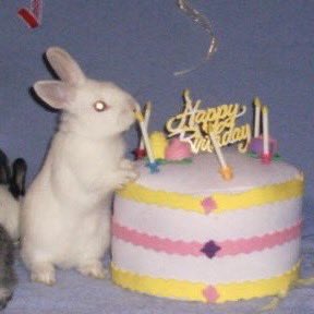 kateyoushka tweet media