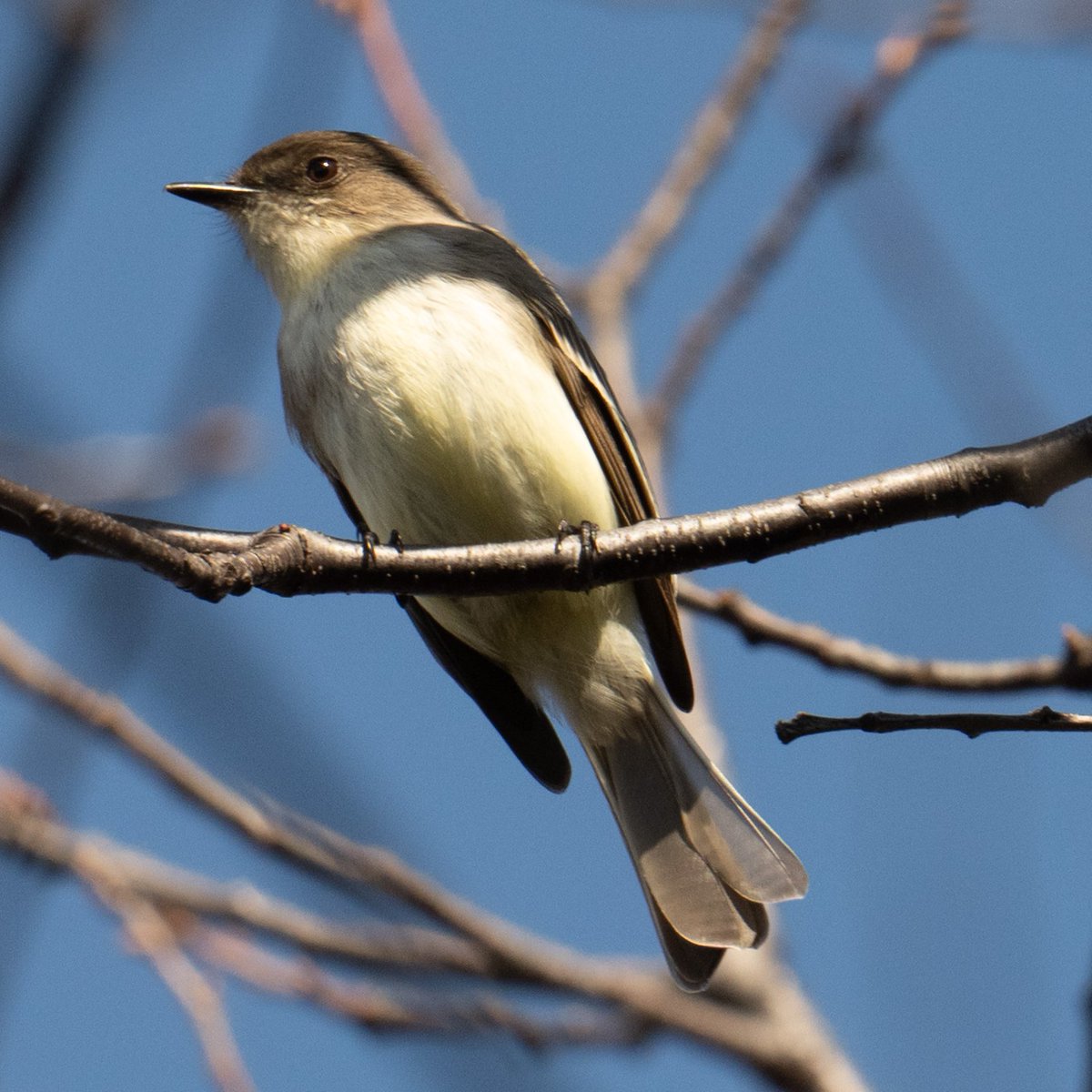 Jil Rafman tweet media