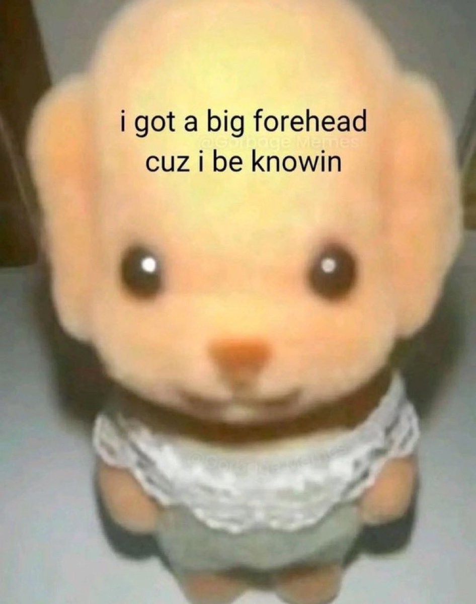 ‎،̲ ࣪˖ 𝓵𝐨𝐭𝐭𝐢𝐞 .ᐟ ‧₊˚ tweet media