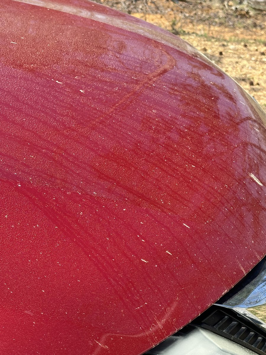 NWGAStormDawgwx's tweet photo. 24 hours after the car wash. Yep The Pollening is here in full force. Glad I have my #BigDan’s unlimited plan. https://t.co/ziDMyNacvj