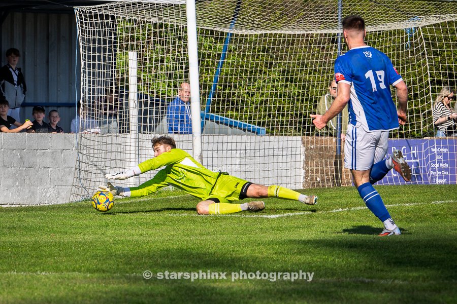 Starsphinx tweet media