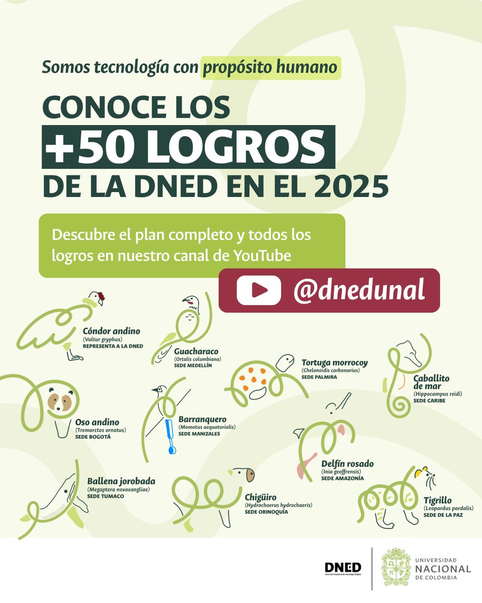 Dirección Nacional de Estrategia Digital - UNAL tweet media