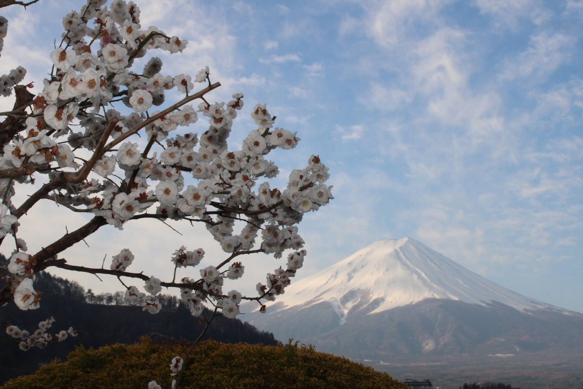 🇨🇵 Sylvain Lebon 🇨🇵 tweet media