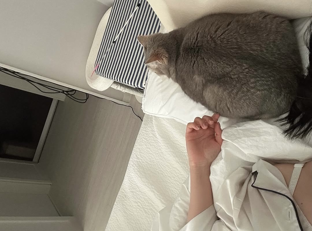 ⾕ Neisha tweet media