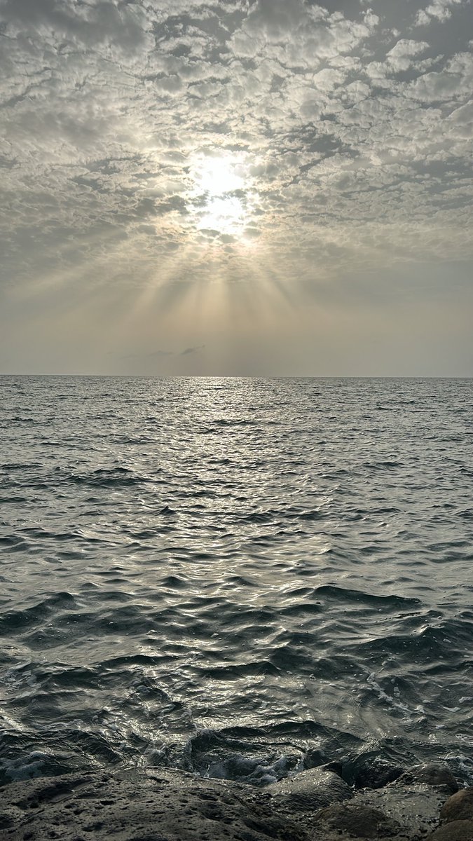 رُبَى tweet media