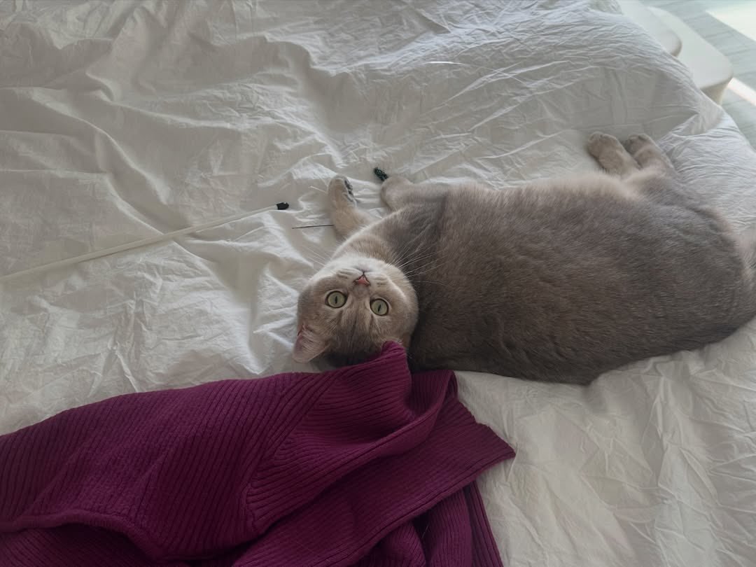 ⾕ Neisha tweet media