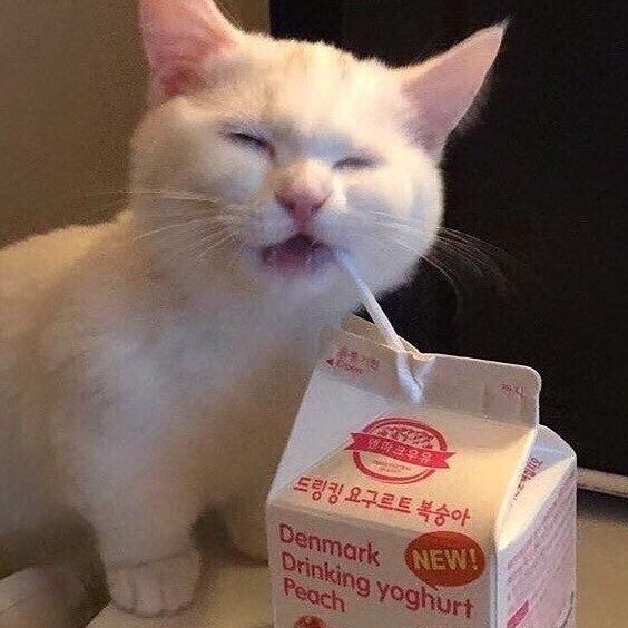 mary (@merlyismary) on Twitter photo 