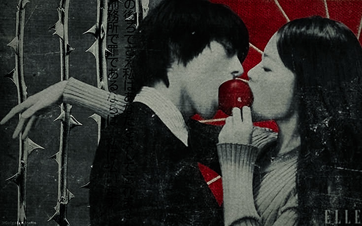 𝘥𝘢𝘳 ; tweet media