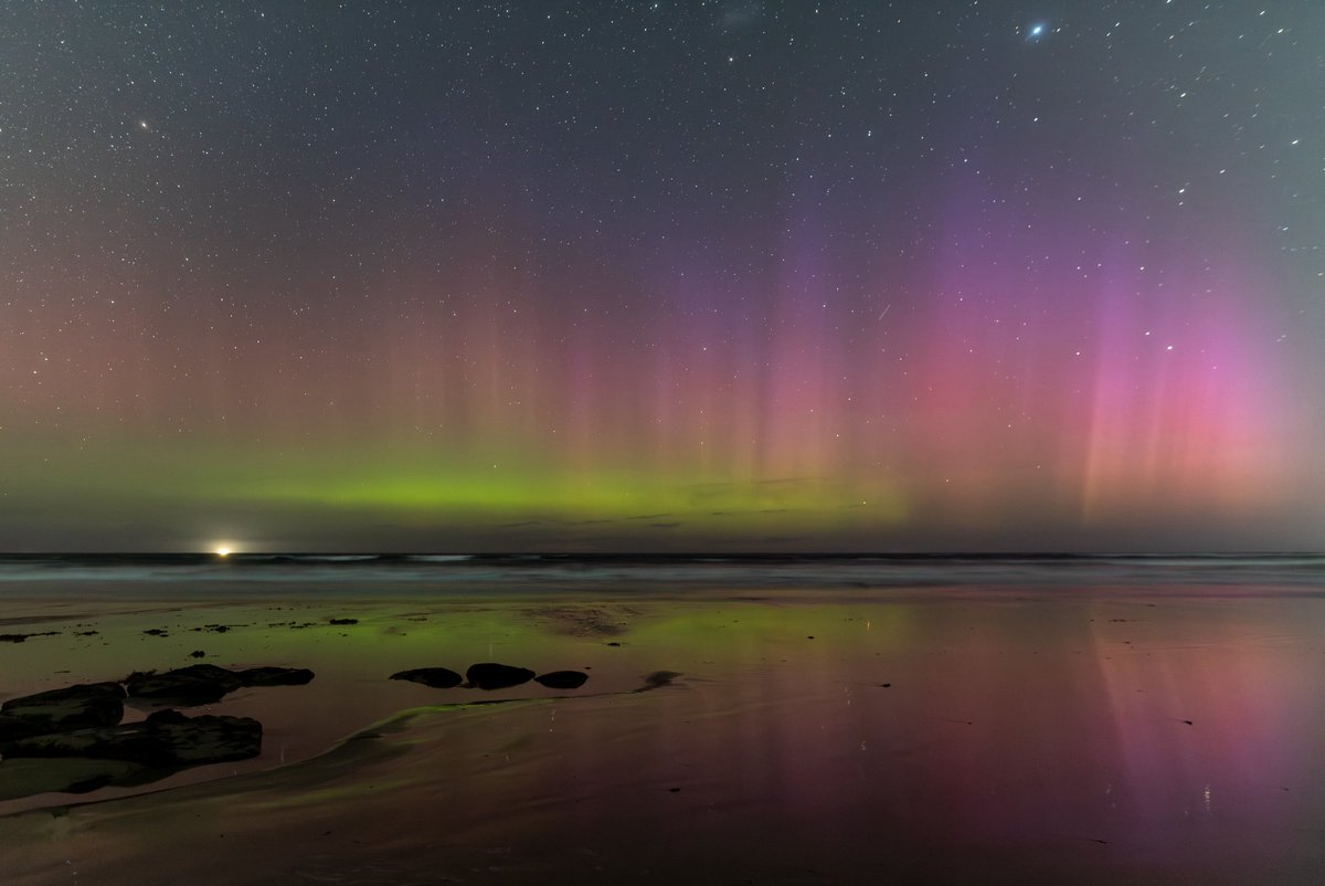 Auroraausau tweet media