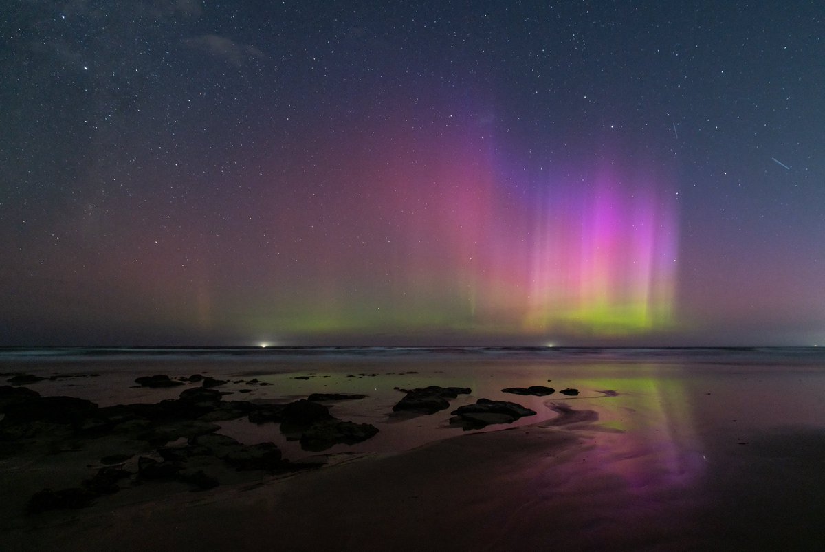 Auroraausau tweet media