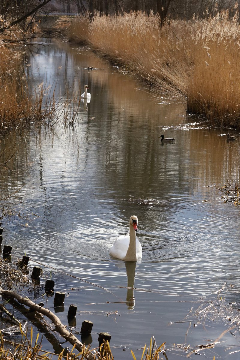 Renata Jaworska tweet media