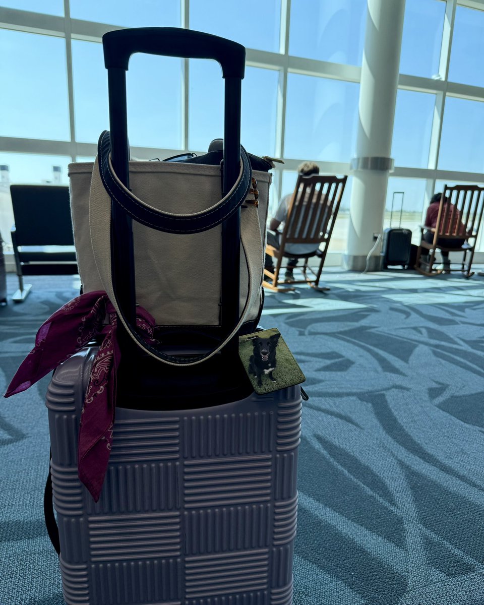 Amanda Curran ☼ tweet media