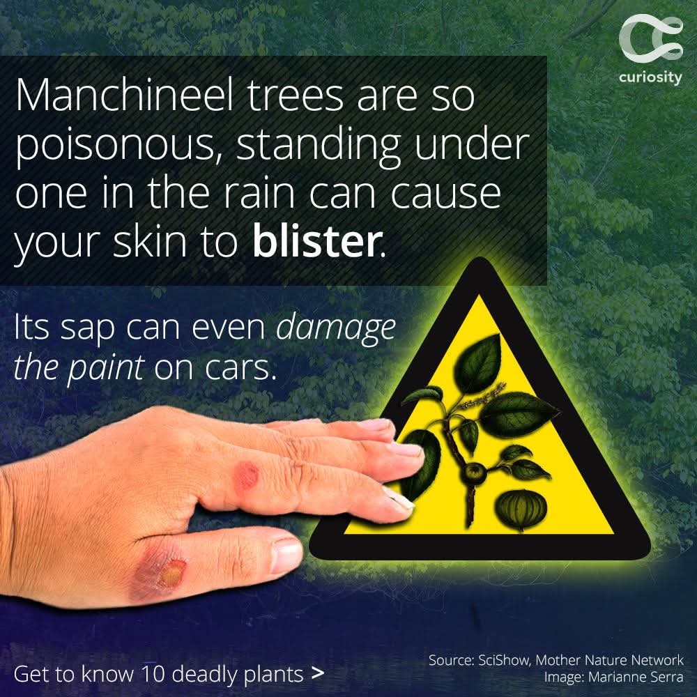 G.M. Kumar tweet media