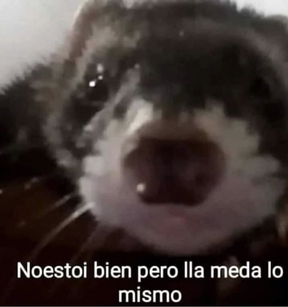 Sonridí tweet media