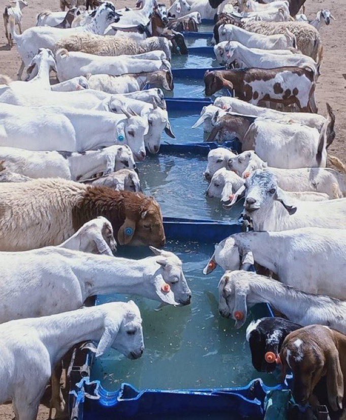 Oyeniran Michael tweet media